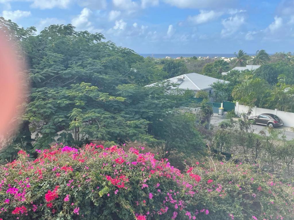 Villa Ste Marthe Avec Piscine, Grande Terrasse, Jardin Intime Et Citerne D'Eau Сен Франсоа Екстериор снимка